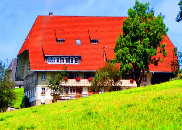 27_2017-08-22_Farmhouse w Half-Hipped Roof-30001.JPG