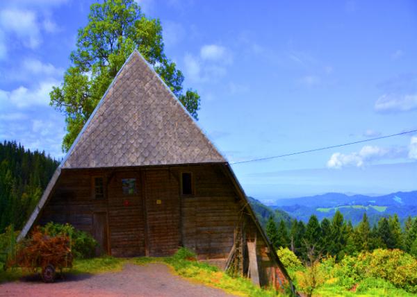 28_2017-08-22_Schniederlihof Farm Museumʩ�͵���С�÷�ũׯũ����-40001.JPG
