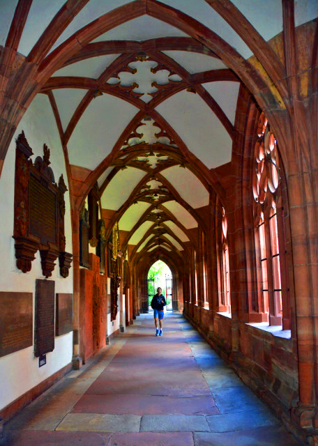 11_2017-08-23_Church_Basel Minster Cloister_Gothic Rib-Vault Ceiling �޵�Ժ������ʽ�߹���-10001.JPG