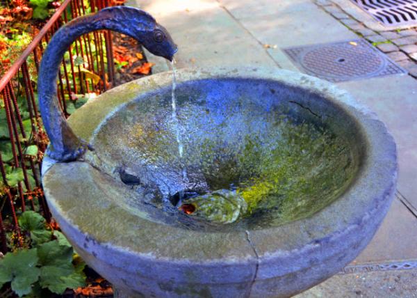 2017-08-23_Fountain_Snake, the Heraldic Anima �ߡ����¶���l0001.JPG