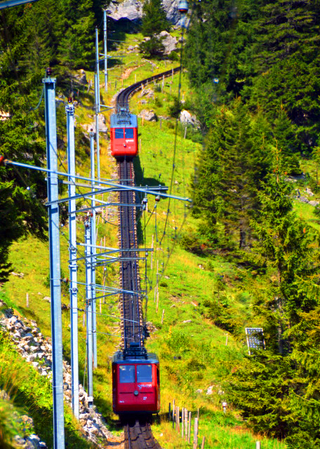 04_2017-08-24_First & Steepest Cogwheel Railway ���ϵ�һ����Ķ۳�����·-20001.JPG