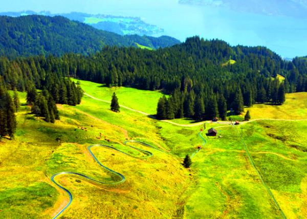 10_2017-08-24_Fräkm��ntegg_Switzerland's Longest Summer Toboggan Run ���׿����ظ���ʿ����ļ�ѩ������-20001.JPG
