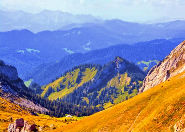 20_2017-08-24_Obwaldner Mountain Trail ���߶���ɽ����-30001.JPG