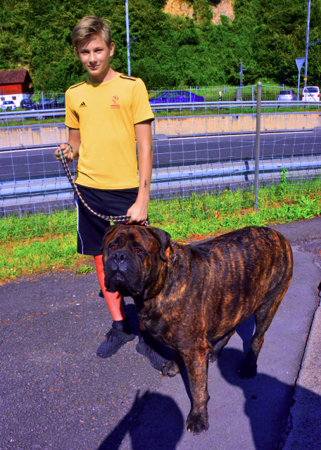 26_2017-08-24_Alpnach_Boy & Bulldog �����붷ţȮ0001.JPG