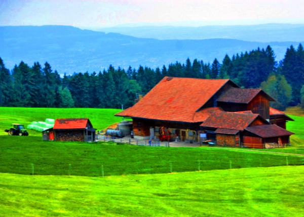 23_2017-08-24_Kälin Family Farm ���ּ�ͥũ��0001.JPG