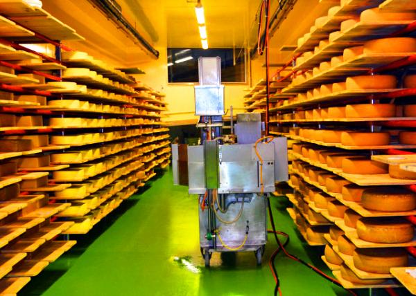 23_2017-08-24_Milchmanufaktur_Cheese Ripening ���ҳ���001.JPG