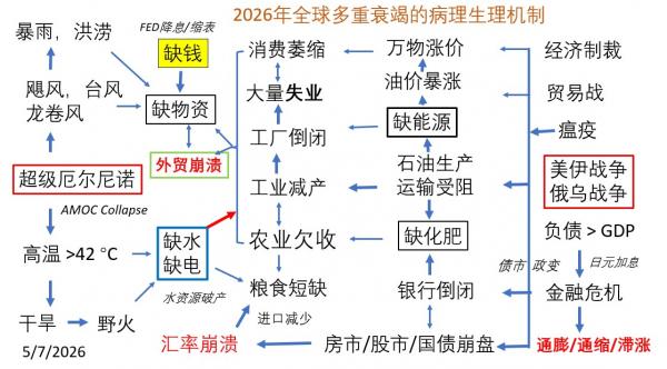 2026年全球多重衰竭的病理生理机制.jpg