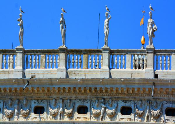 27_2018-07-09_Animal_Seagulls over Biblioteca Nazionale Marciana ͼ���-10001.JPG