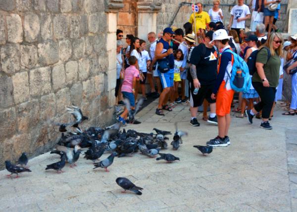 09_2018-07-13_Muralles de Dubrovnik-20001.JPG