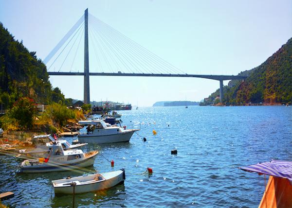 28_2018-07-13_Franjo Tuđman Bridge �����ǡ��ŵ�����-10001.JPG