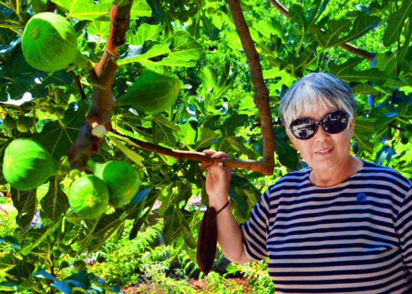 10_2018-07-13_Fruit_Figs0001.JPG