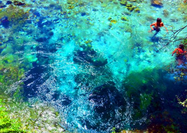 10_2018-07-14_Blue Eye-40001.JPG