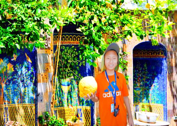 07_2015-06-14_Lemon Trees w Head-Sized Lemon ����������Թϴ�С����0001.jpg