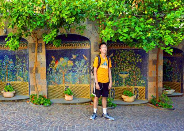 08_2018-07-17_Sorrento_Lemon Trees ������������-10001.JPG
