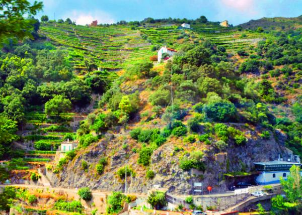 09_2018-07-17_Maiori_Terrace-30001.JPG