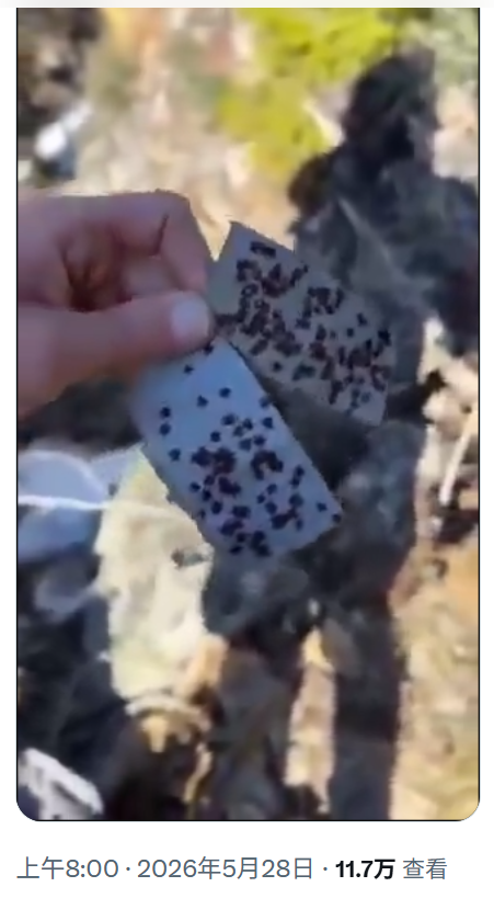 1780117702686057.png image.png