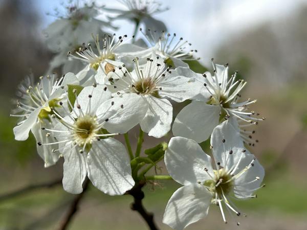IMG_1789.JPG