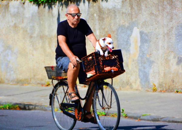 16_2018-07-19_Pisa_Pisan Bikers �����ߵ��� 0001.JPG