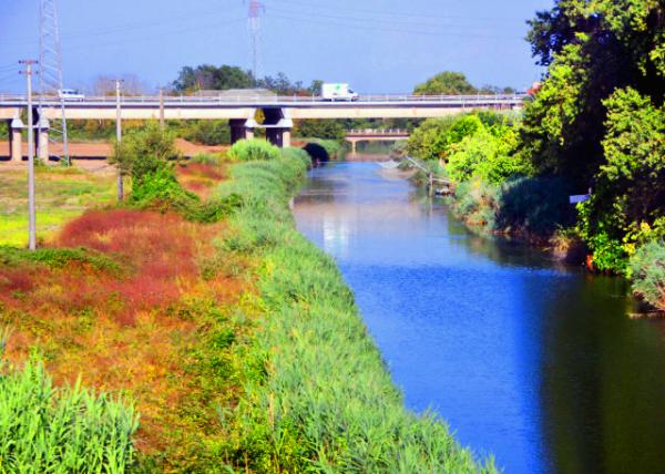 15_2018-07-19_Arno Floodway_Via Aurelia Constructed ca 241 BC-20001.JPG