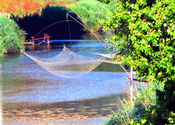 14_2018-07-19_Arno Floodway_Fishing Nets ��ŵй����������0001.JPG