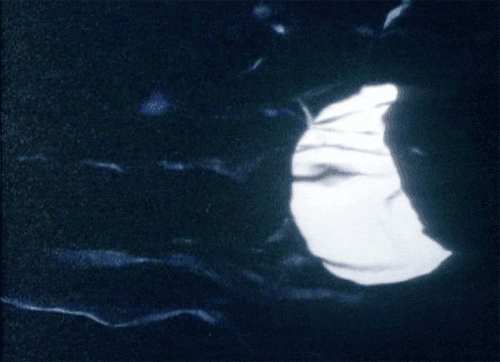 20260602093457_89073.gif 醉月.gif