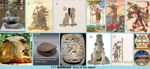 17.1 800 美洲狮的故事  Story of the Jaguar.jpg