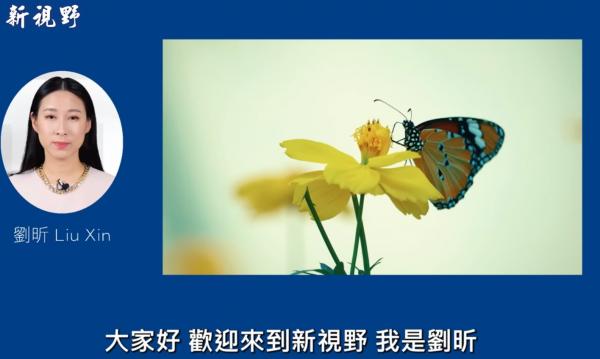 IMG_9310.png