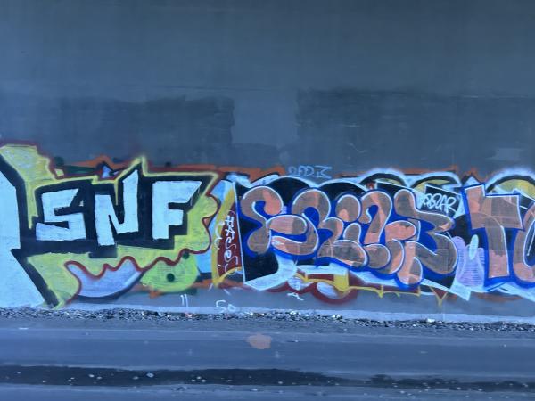 1780782071763664.jpg