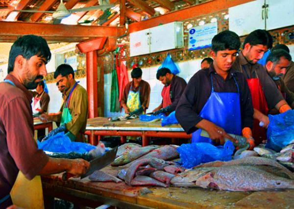 19_2013-12-09_Souq Al Jubail Sharjah Fish Market  Fruits & Vegetable Market ɳ��ũó�г�����������ߵ�-20001.JPG