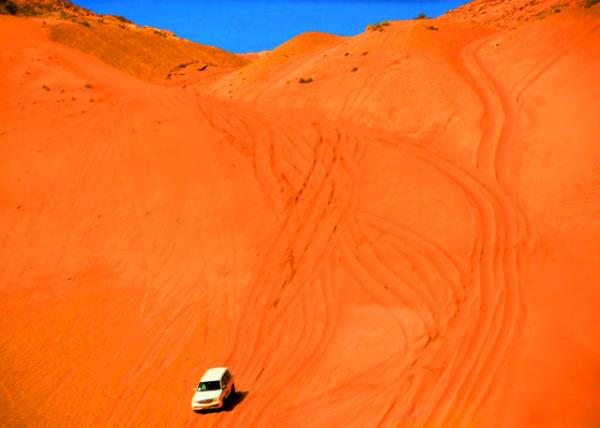 2013-12-10_Rub Al Khai Desert Safari-160001.JPG