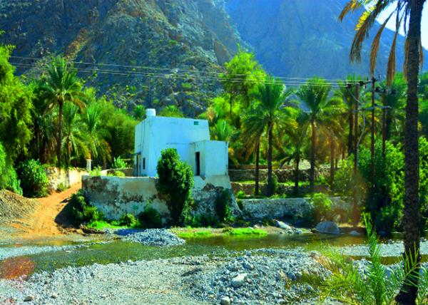 16_2013-12-11_Nakhl Fort_Nakhal Palm Tree Village.jpg