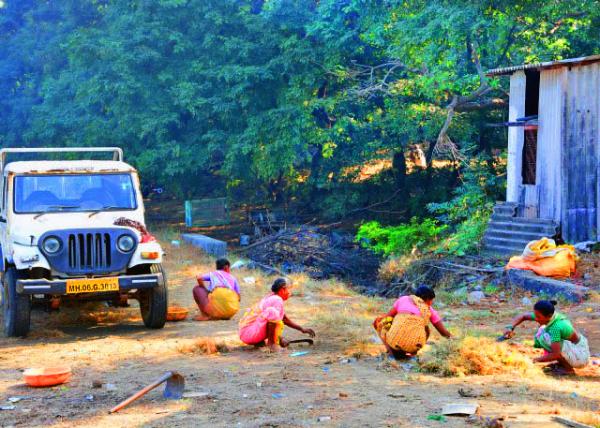 32_2013-12-15_Elephanta Is_Women @  Field ��Ů����������-40001.JPG