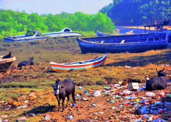 33_2013-12-15_Elephanta_Dumpster ������320001.JPG