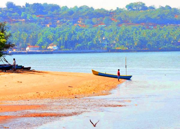 07_2013-12-16_Mandovi Estuary ΢Ц�ӿ�-90001.JPG
