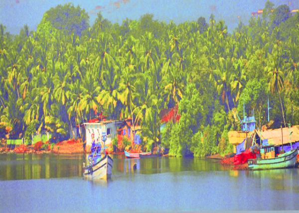 39_2013-12-16_Colorful Fishing Boats ���-30001.JPG