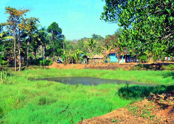 40_2013-12-16_Old Goa_Cashew Plantation ������ֲ԰-20001.JPG