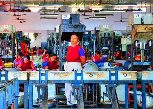 30_2013-12-17_Achal Industries Cashew Factory-20001.JPG