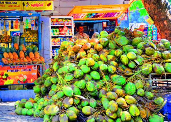 10_2013-12-18_Coconuts on Sale ����Ҭ��0001.JPG