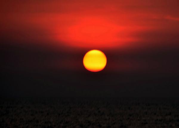 36_2013-12-18_Cochin Sunset ��������-20001.JPG