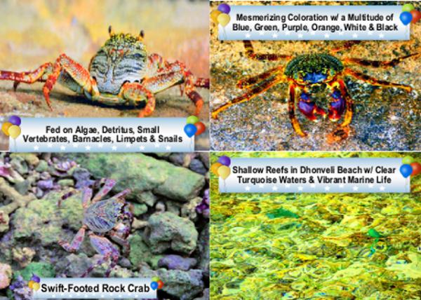 2013-12-20_Sea Life0001.jpg