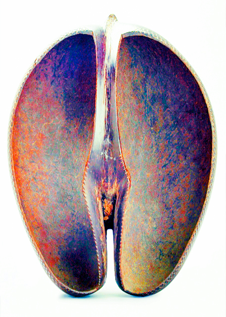 X_2013-12-23_Coco-de-Mer-Bowl_Beautiful Buttocks.JPG