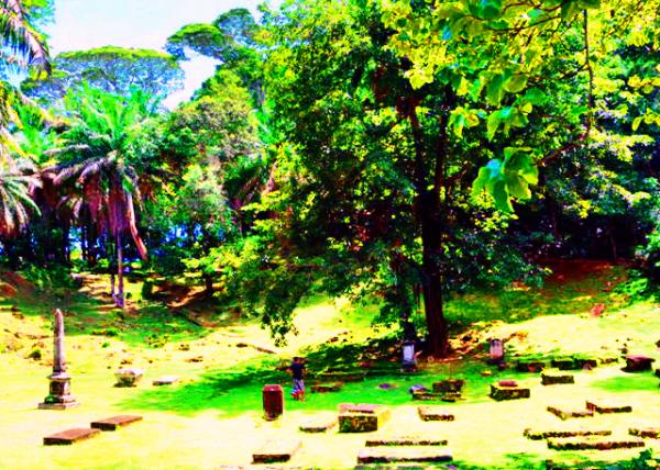 40_2013-12-23_Bel Air Cemetery ��������Ĺ0001.JPG