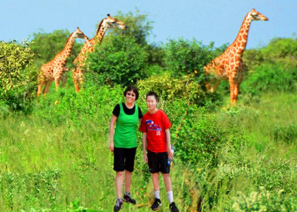 10_2013-12-26_A Tower of Giraffs һȺ����¹-10001.jpg