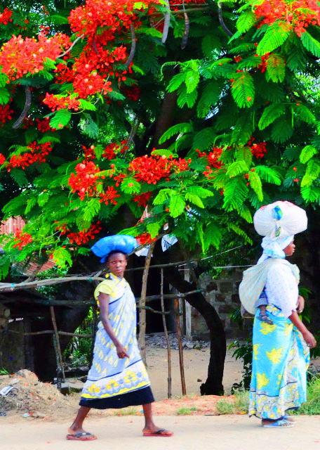 49_2013-12-26_Mombasa-80001.JPG