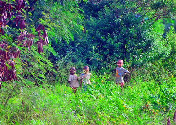 50_2013-12-26_Mombasa-30001.JPG
