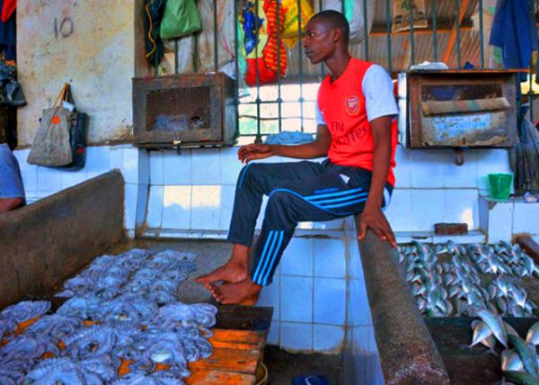 27_2013-12-27_Central Market Darajani_Fish Stall ��̯-80001.JPG