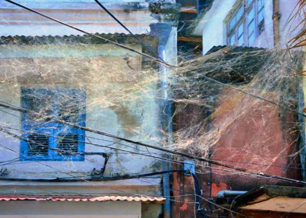 43_2013-12-27_Spider Cobweb in Stone Town ʯ�ǡ�֩����0001.JPG