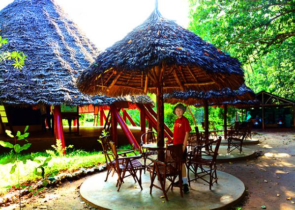 60_2013-12-27_Jozani Chwaka Bay NP_Tropical Huts �ȴ�é����-20001.JPG