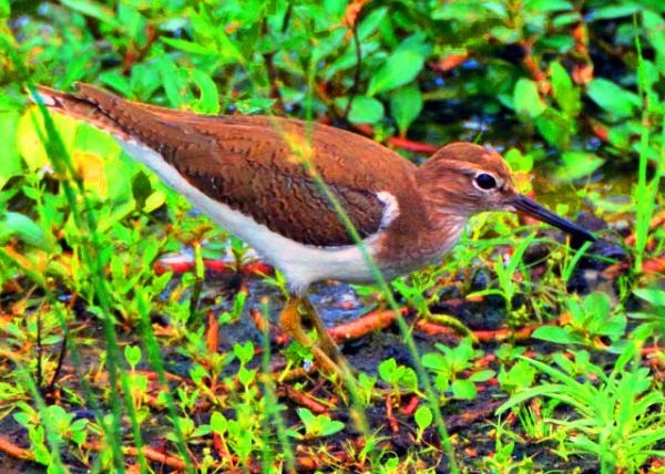 33_2013-12-28_Stilt-20001.JPG