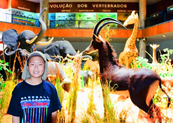 03_2014-01-02_Natural History Museum_4-D African Ecosystem ��ά������̬ϵͳ-50001.JPG